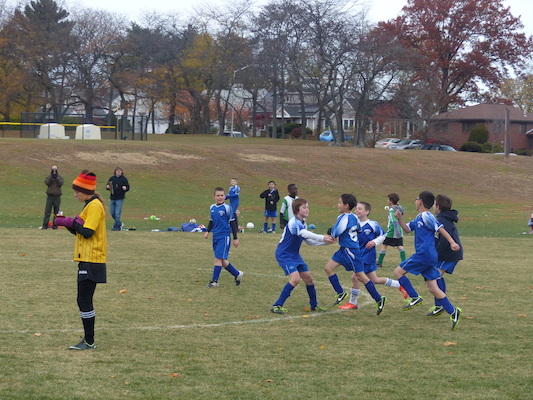 P1010553 (11-09-2013 13:34)