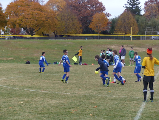 P1010554 (11-09-2013 13:34)