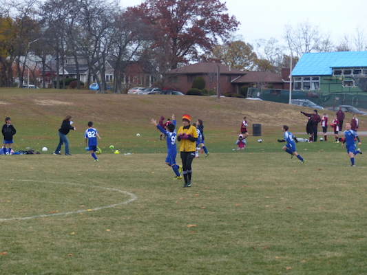 P1010555 (11-09-2013 13:36)