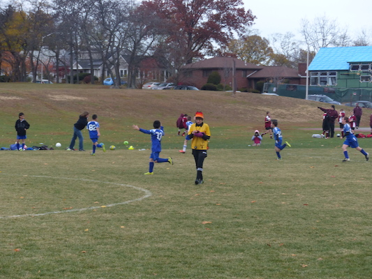 P1010556 (11-09-2013 13:36)