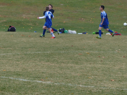 P1010561 (11-09-2013 13:36)