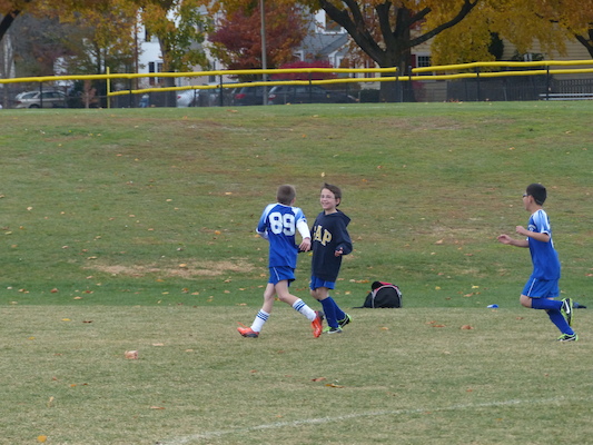 P1010562 (11-09-2013 13:36)