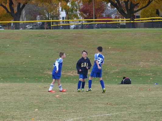 P1010563 (11-09-2013 13:36)