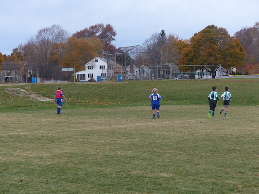 P1010565 (11-09-2013 13:42)