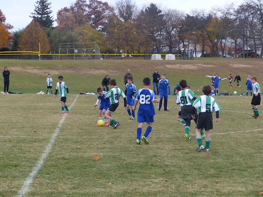 P1010566 (11-09-2013 13:43)