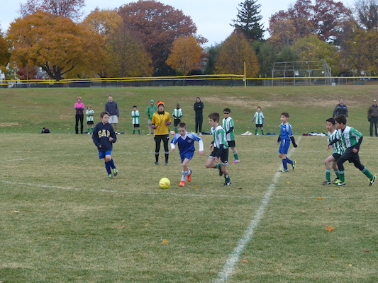 P1010567 (11-09-2013 13:43)