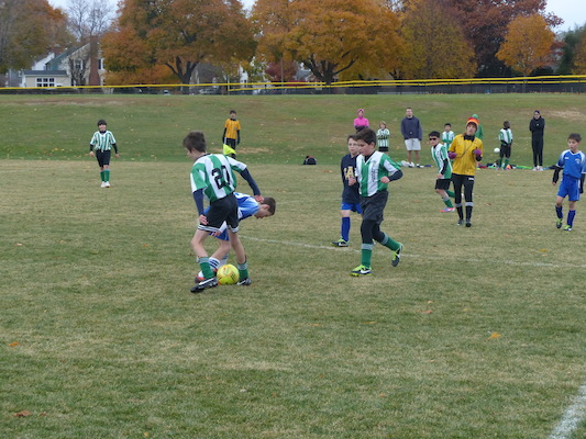 P1010568 (11-09-2013 13:43)