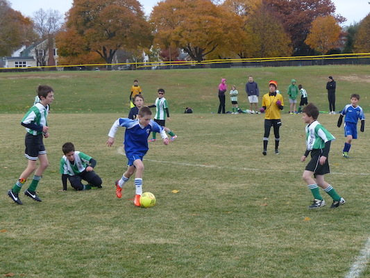 P1010569 (11-09-2013 13:43)