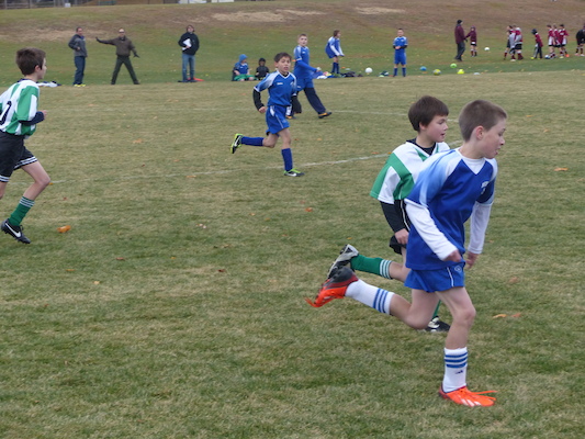 P1010572 (11-09-2013 13:43)