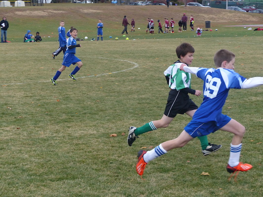 P1010573 (11-09-2013 13:43)