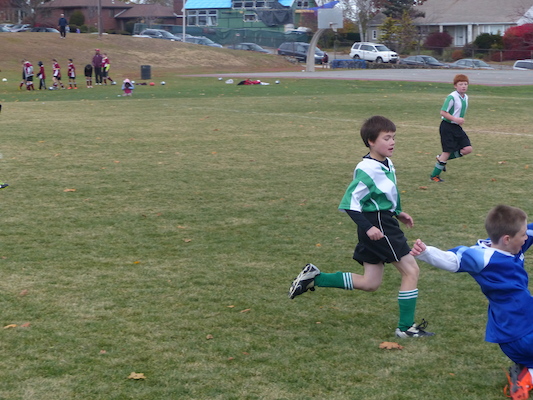 P1010575 (11-09-2013 13:43)