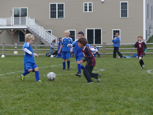 P1010587 (11-09-2013 15:36)