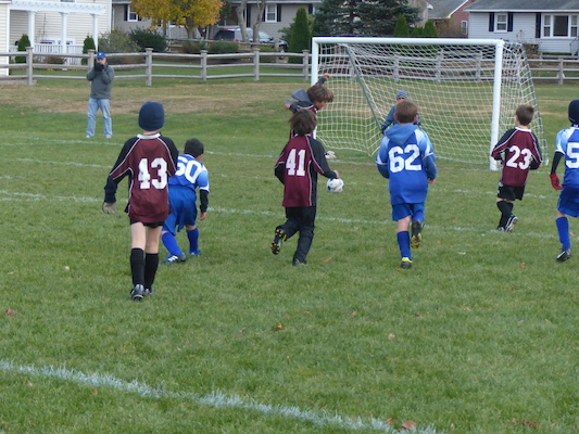 P1010598 (11-09-2013 15:47)