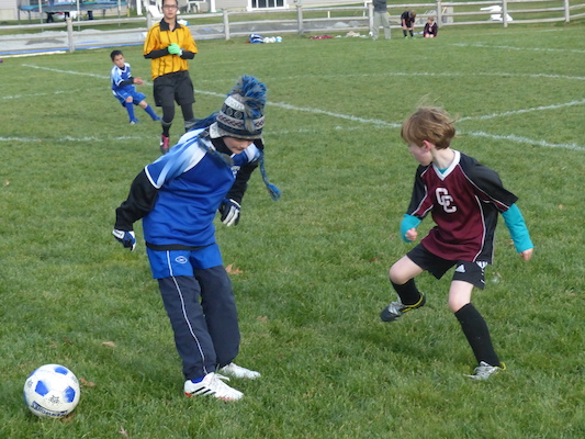 P1010600 (11-09-2013 15:49)