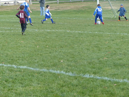 P1010626 (11-09-2013 15:56)