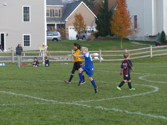 P1010629 (11-09-2013 15:56)