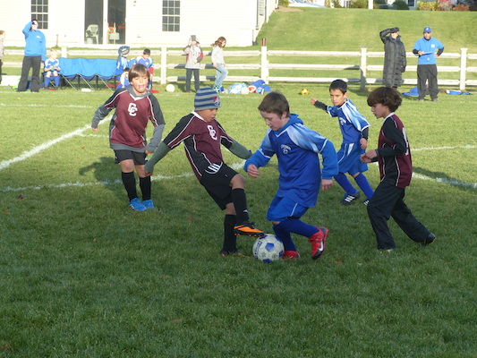 P1010643 (11-09-2013 16:09)