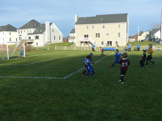 P1010650 (11-09-2013 16:13)