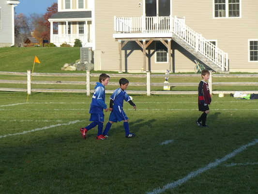 P1010653 (11-09-2013 16:15)