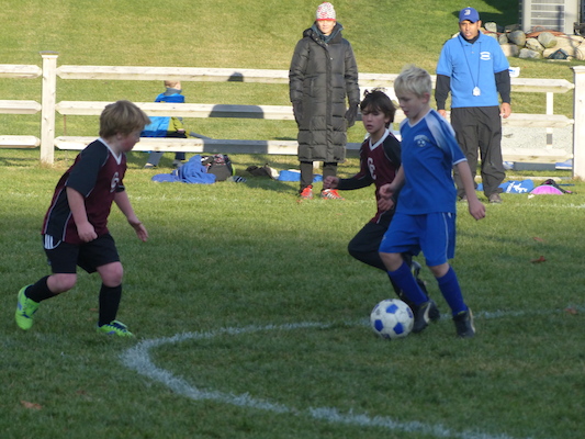 P1010655 (11-09-2013 16:17)