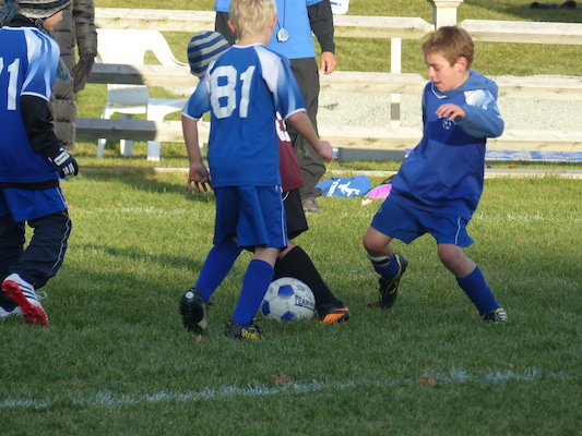 P1010656 (11-09-2013 16:17)