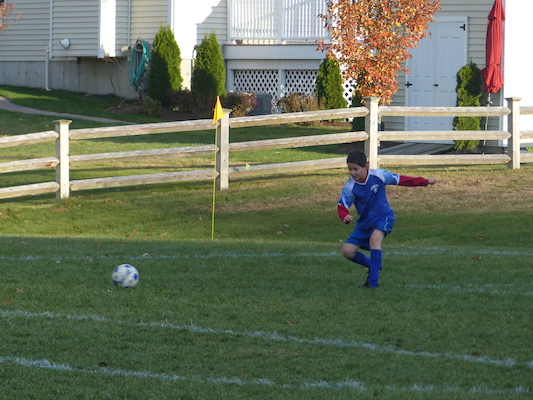 P1010660 (11-09-2013 16:19)