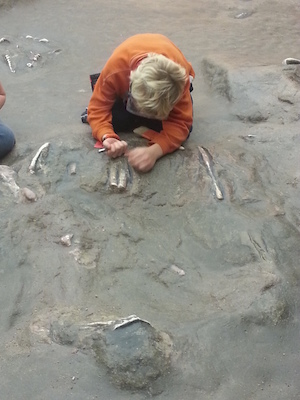 IMG_20131226_152539 (12-26-2013 15:25)