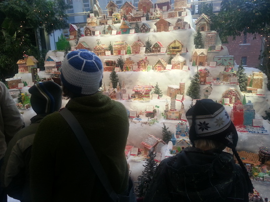 IMG_20131227_154225 (12-27-2013 15:42)