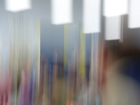 P1040670 (03-02-2014 19:37)