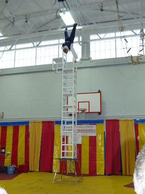 P1040778 (03-22-2014 11:30)