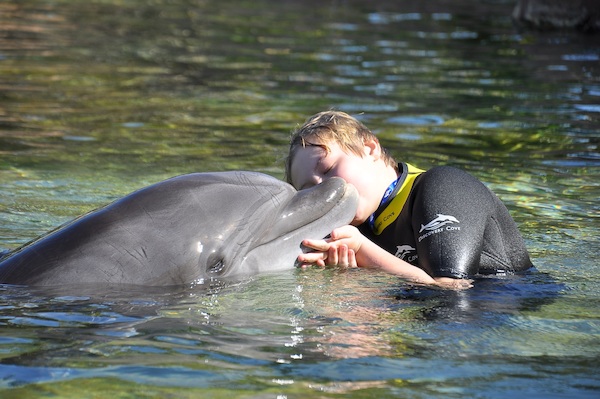 IMG00001 (02-15-2015 10:57)