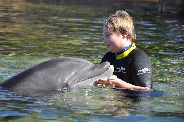 IMG00002 (02-15-2015 10:57)