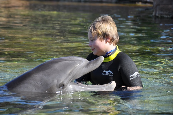 IMG00003 (02-15-2015 10:57)