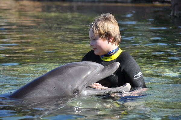 IMG00004 (02-15-2015 10:57)