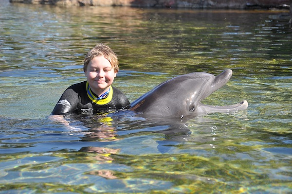 IMG00006 (02-15-2015 10:57)