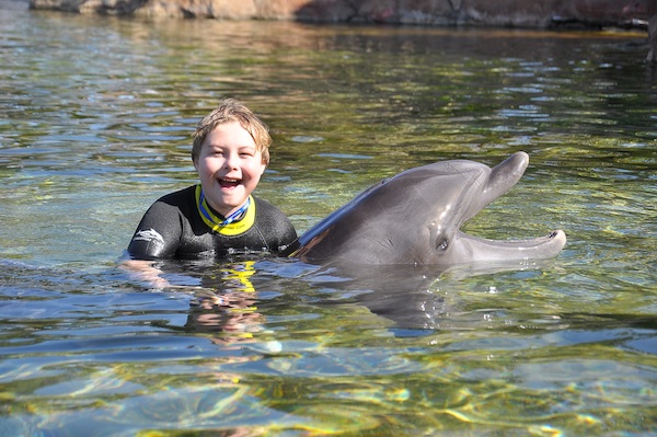 IMG00008 (02-15-2015 10:57)