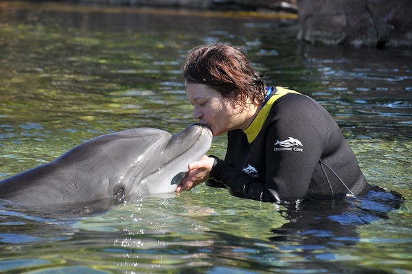 IMG00009 (02-15-2015 10:57)