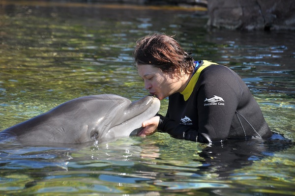 IMG00011 (02-15-2015 10:57)