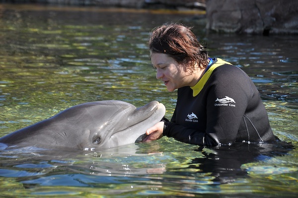 IMG00012 (02-15-2015 10:57)