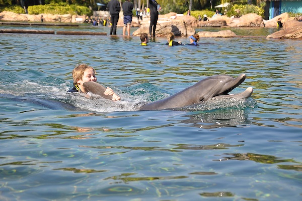 IMG00025 (02-15-2015 11:12)