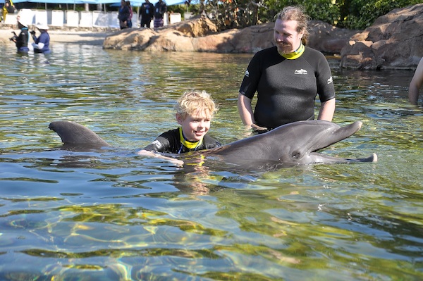 IMG00026 (02-15-2015 11:02)