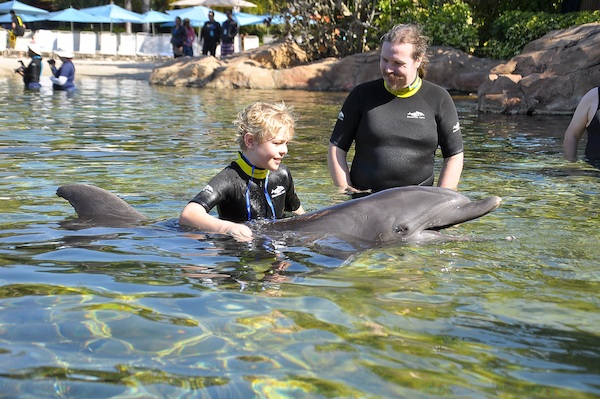 IMG00027 (02-15-2015 11:02)