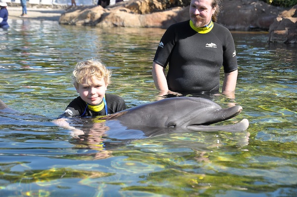 IMG00028 (02-15-2015 11:02)