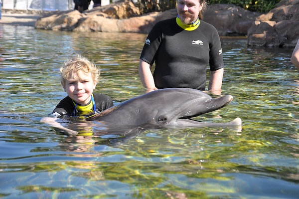 IMG00029 (02-15-2015 11:02)