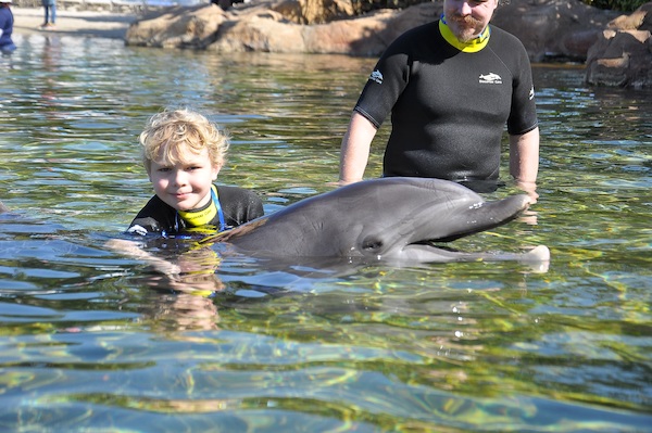 IMG00031 (02-15-2015 11:02)