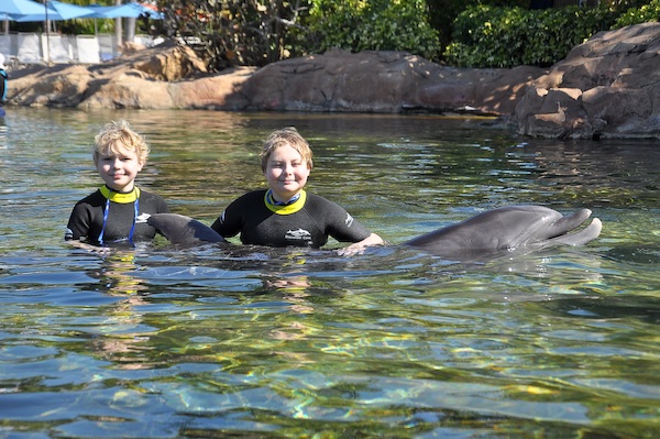 IMG00036 (02-15-2015 11:05)