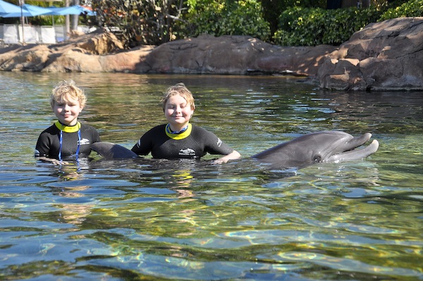 IMG00037 (02-15-2015 11:05)