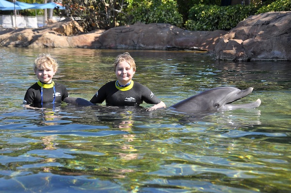 IMG00038 (02-15-2015 11:05)