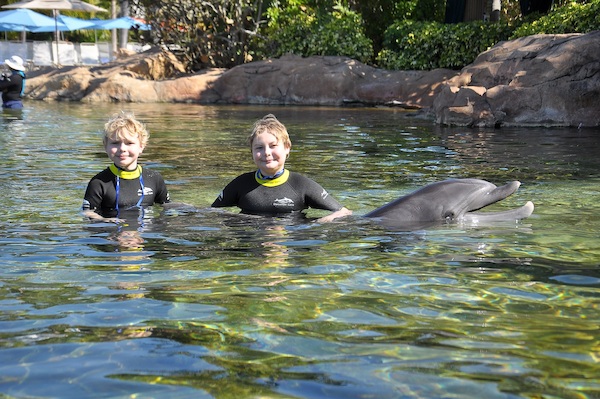 IMG00039 (02-15-2015 11:05)