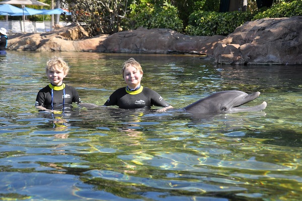 IMG00040 (02-15-2015 11:05)